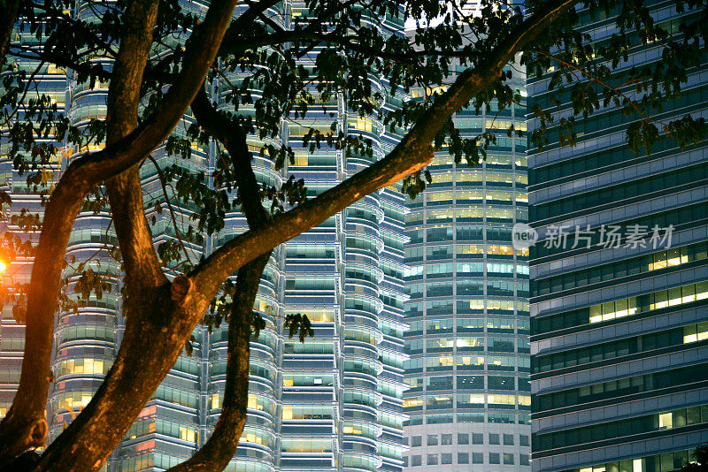 树和金属立面- Petronas塔在晚上，吉隆坡，马来西亚